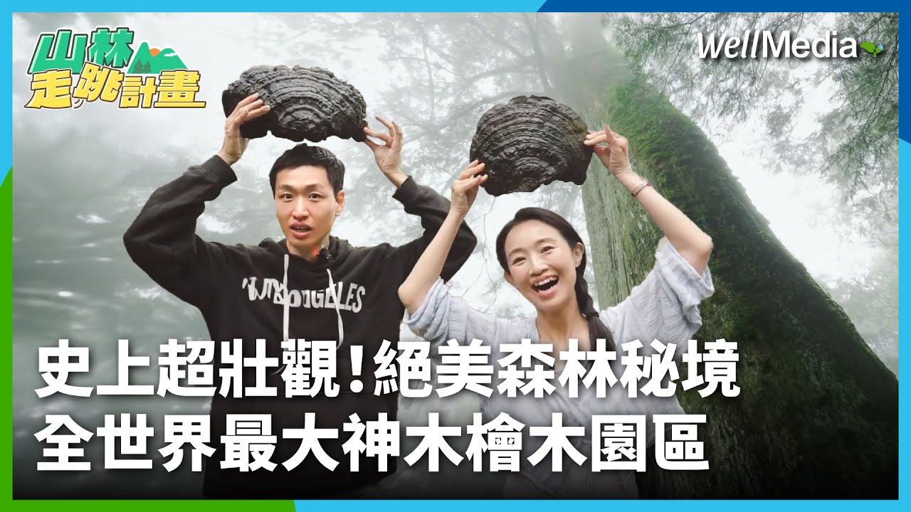 史上超壯觀！全世界最大神木檜木森林秘境在這！一探明池與千年檜木絕美風景 #明池 #棲蘭神木【山林走跳計畫】EP3 @WellMediaGlobal