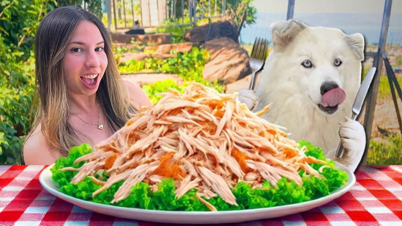 Целый день, когда моя собака решает, что делать!! [Часть 1😱]