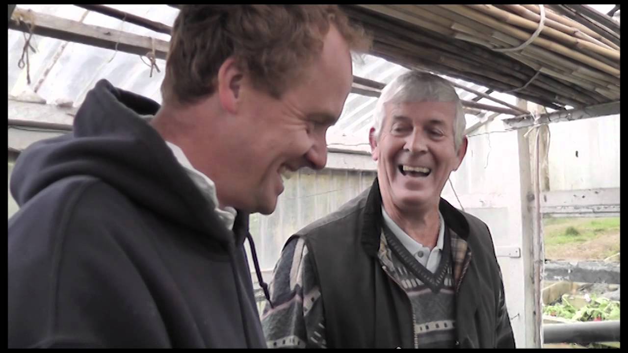 Tales from Terry's Allotment - OCTOBER 2011