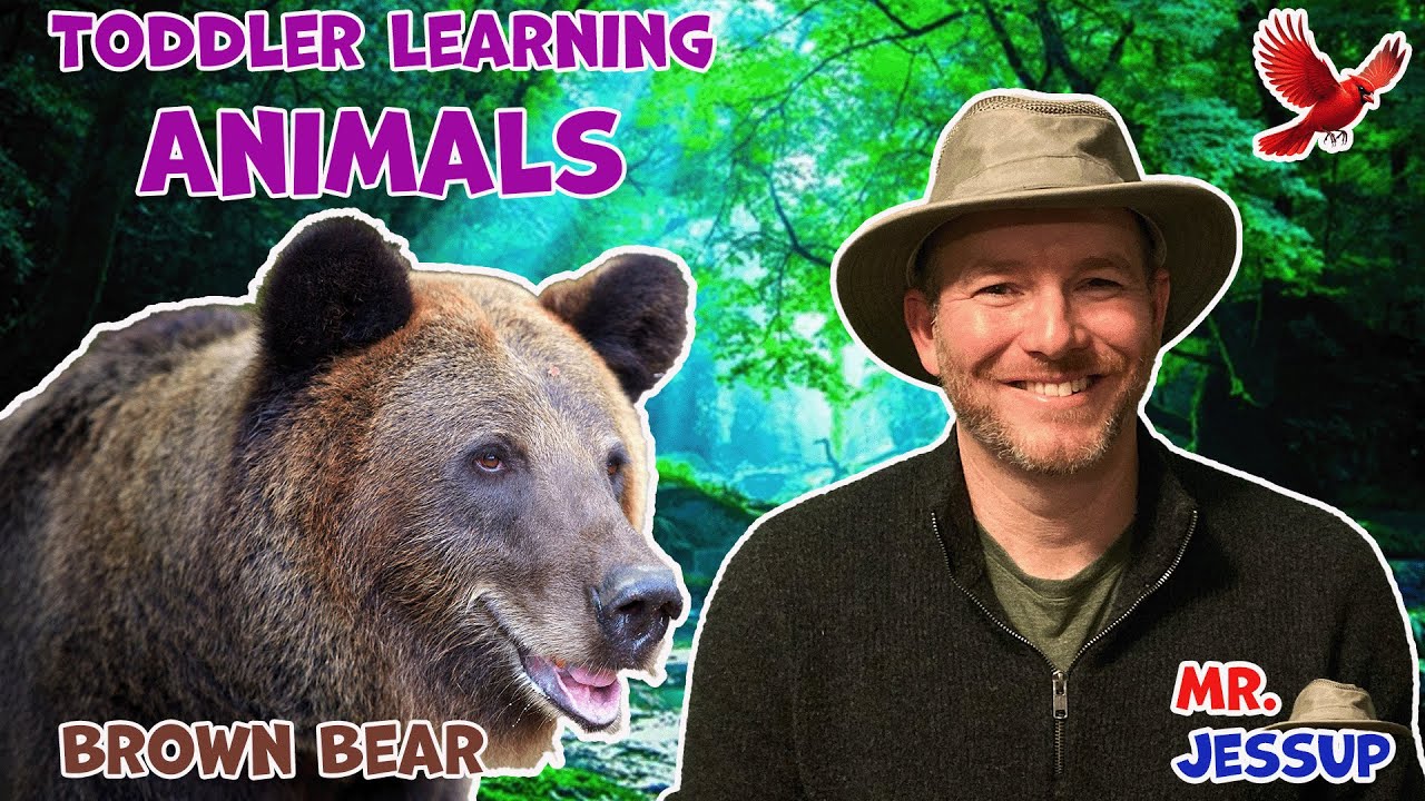 Learn About Animals with Brown Bear: A Sing-Along Journey!
