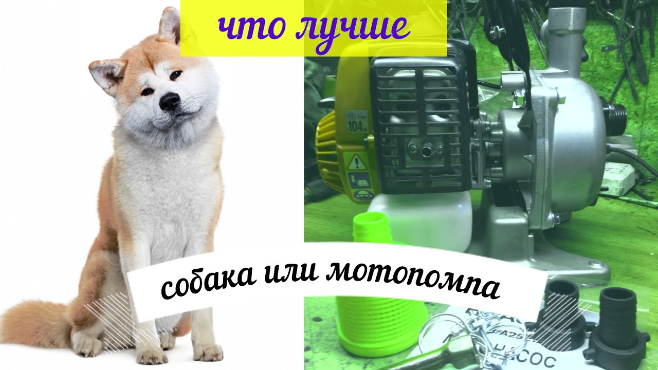 Мотопомпа Хитачи А 25ЕВ(S)Не сложный выбор между 