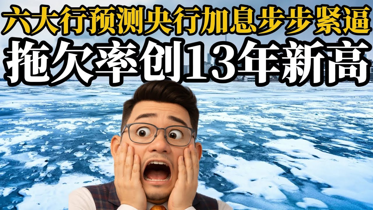 贷款违约率飙升房价跌，几大银行又对加息步步紧逼。《投资数据与金融时评2026》