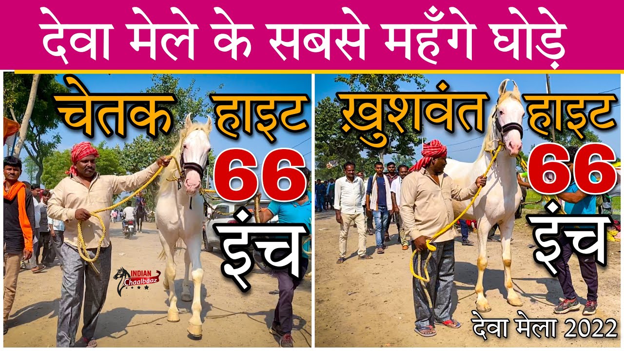 देवा मेले में चेतक और ख़ुशवंत को देखने के लिए लगी लोगों की भीड़ 7355347591 Deva Mela (UP) 2022