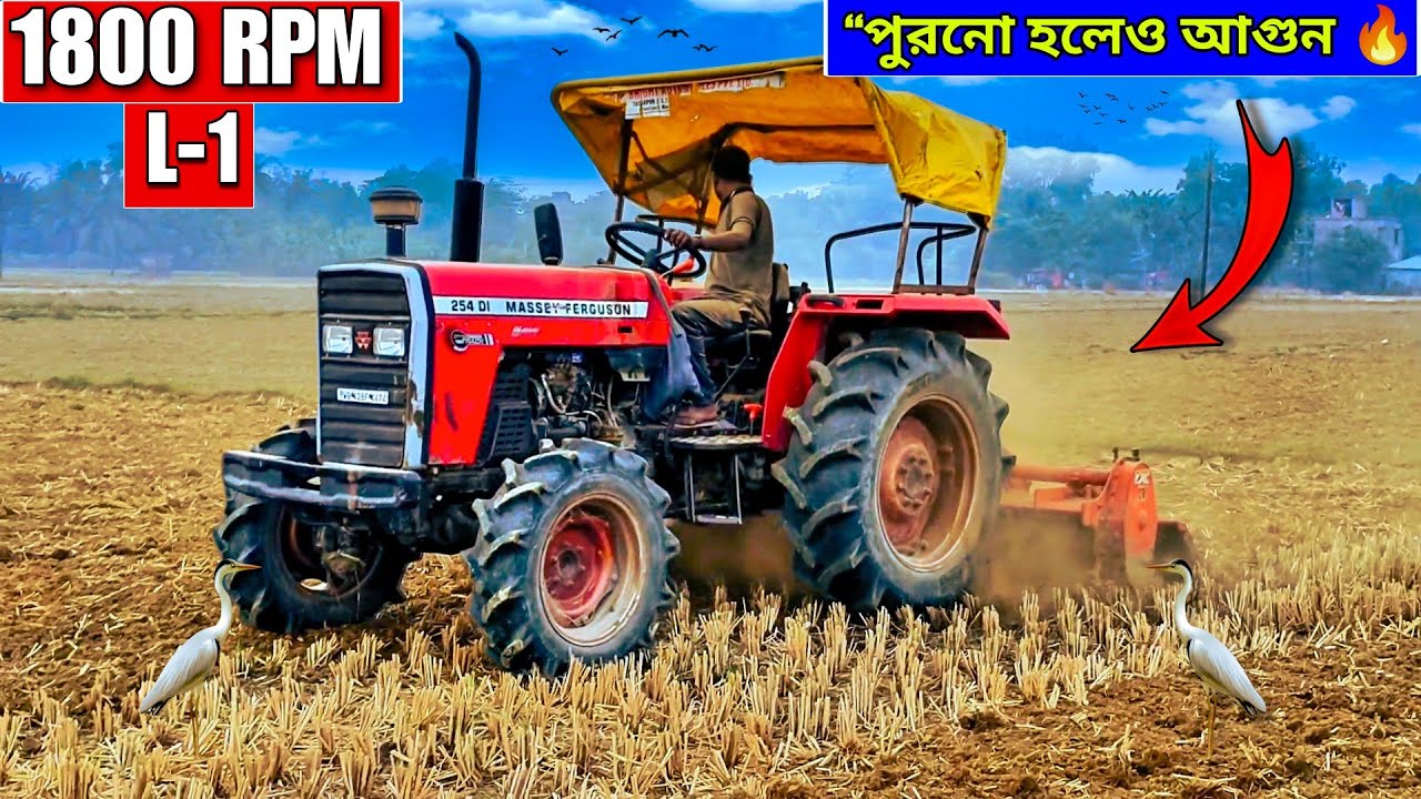“254 DI Massey Ferguson 🔥 মাটিতে নামল দানব! চাষ দেখলে অবাক হবেন 😱”