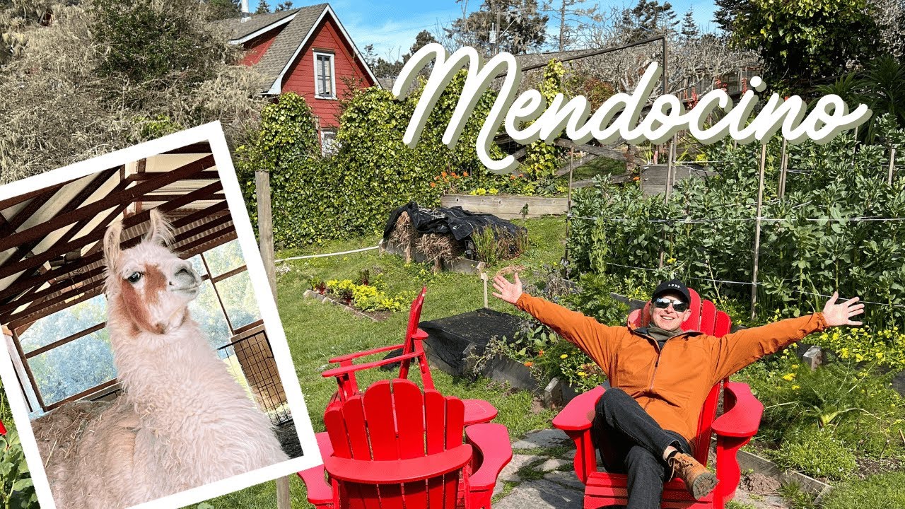 MENDOCINO - STAYING ON AN ORGANIC FARM! 🚜 #travelvlog