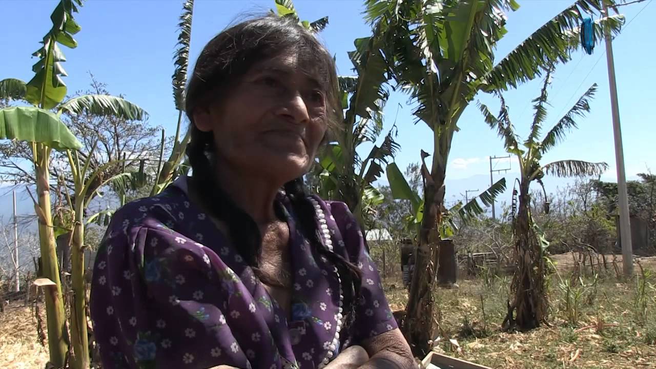 Amoltepec; Vientos de paz