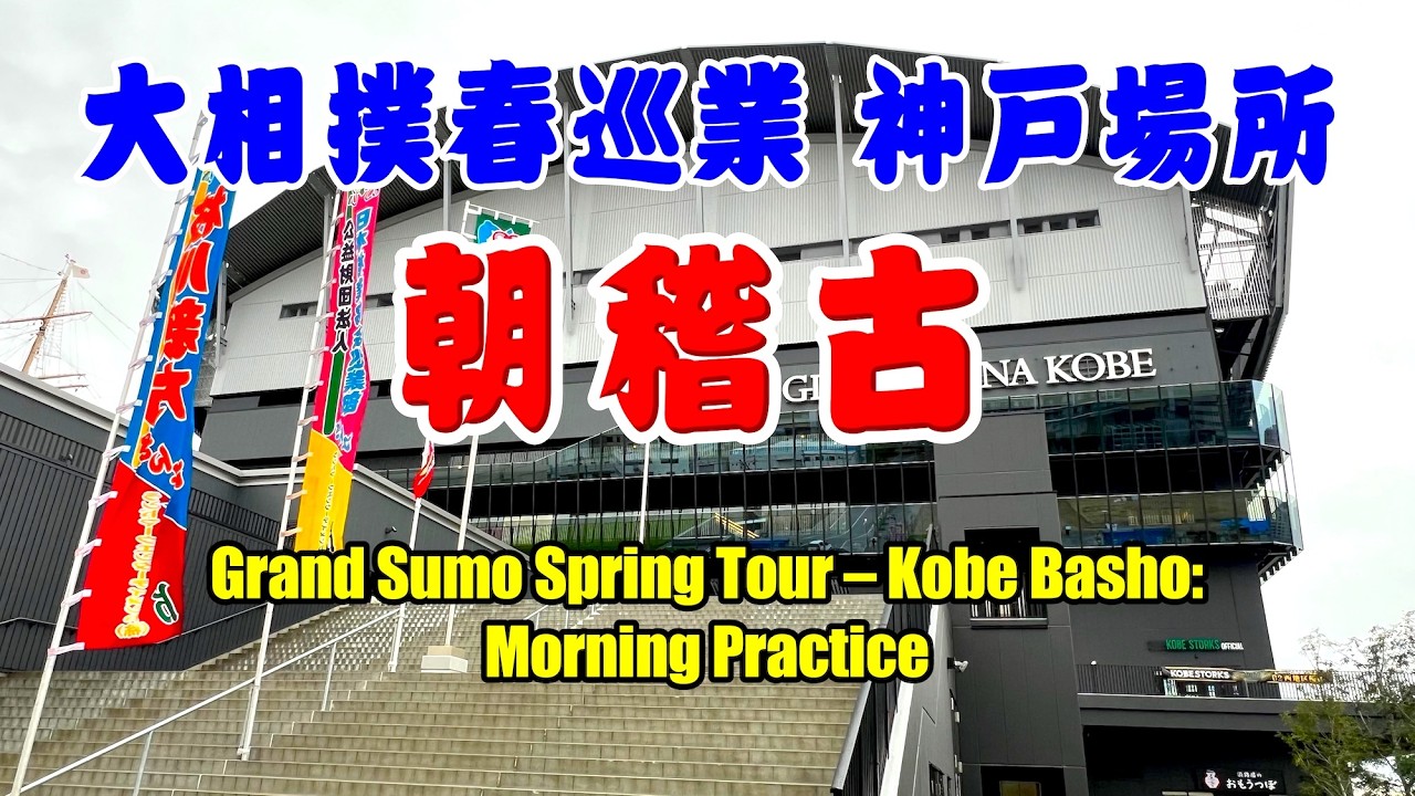 【神戸巡業 No.1】朝稽古 大相撲春巡業神戸場所 2026/3/31 GLION ARENA  #大相撲 #神戸巡業 #sumo