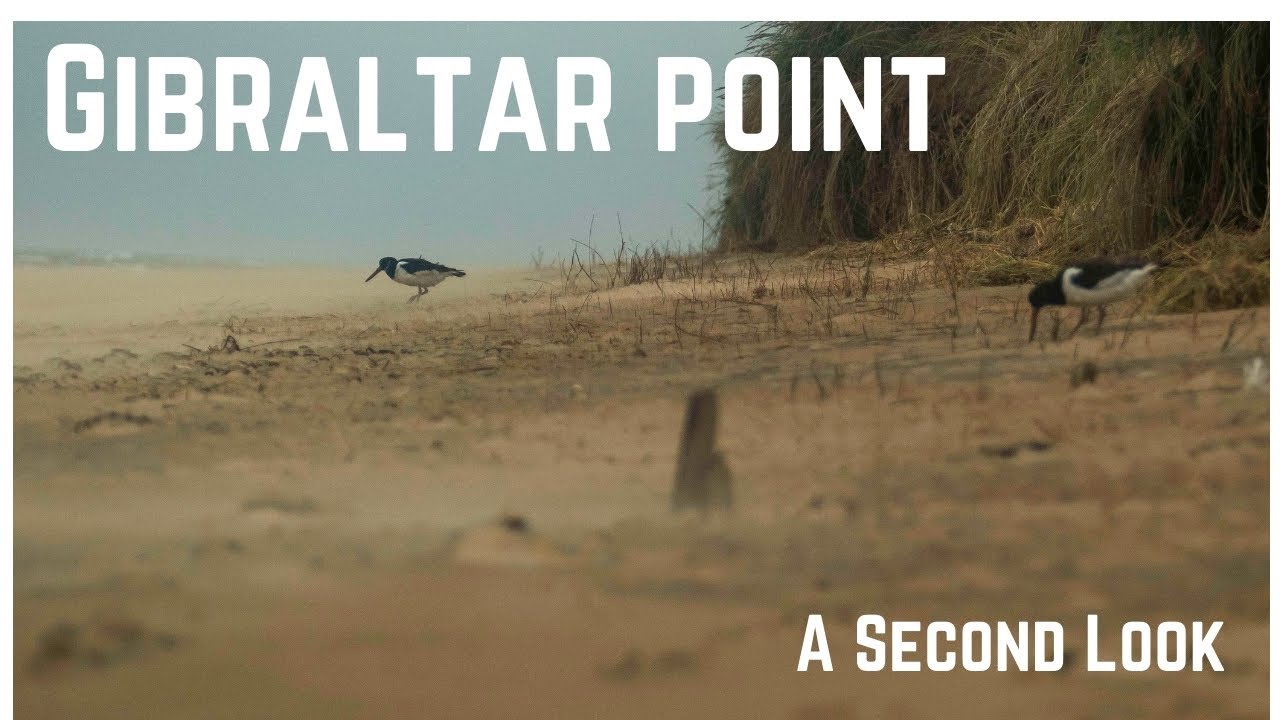 Gibraltar Point, a second look.