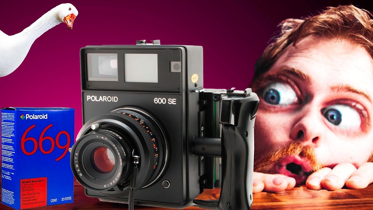 The short history of the Polaroid 600 SE AKA The GOOSE