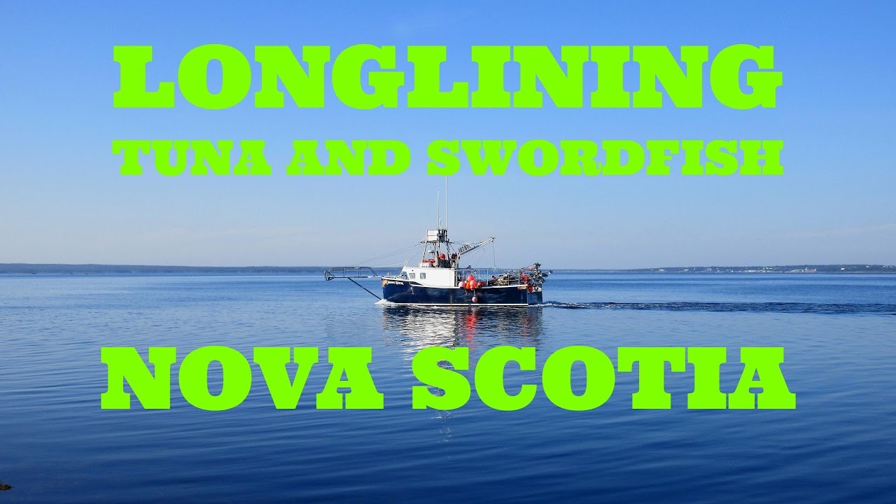 Trawling Swordfish Longline Fishing