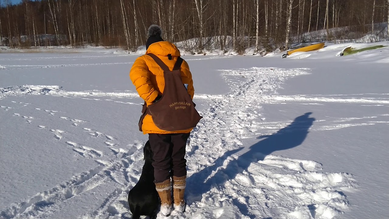 Noutajalle suuntien opetus - kaikki suunnat ristikossa.