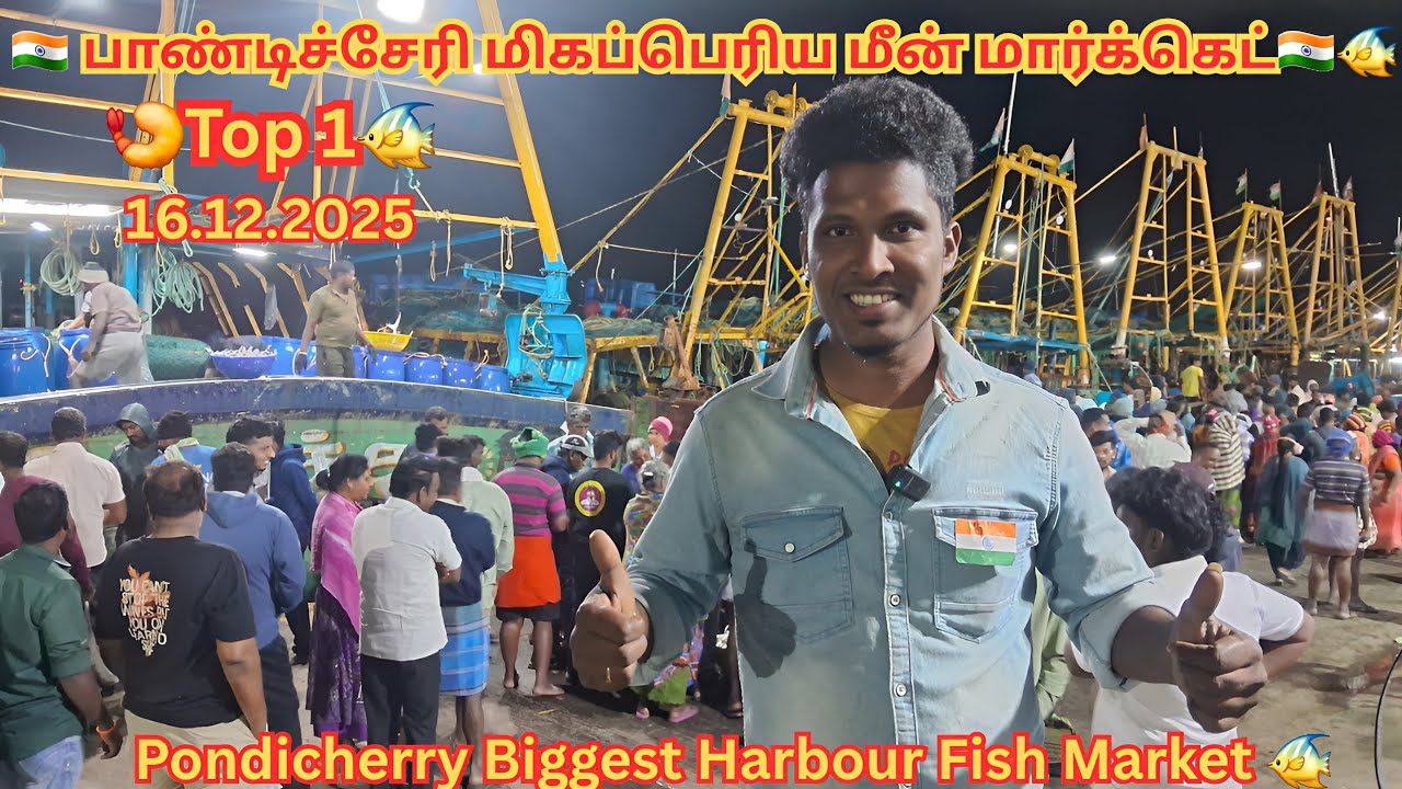 💥🐠 Pondicherry Fish Market | Pondicherry Harbour Fish Market | Pondicherry fishing harbour #trending