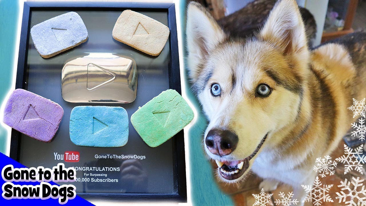 YouTube Play Button Cookies for Dogs | DIY Dog Treats Recipe 100