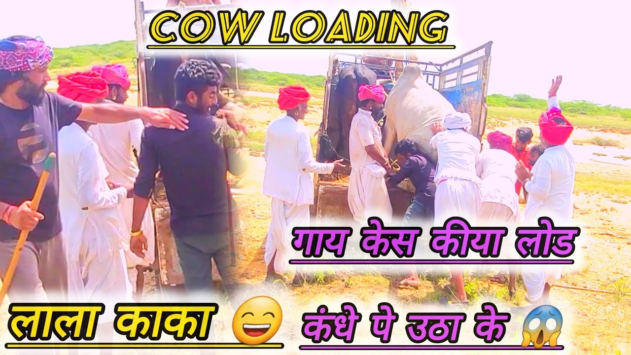 ભાગ ૨ હવે રાઈ નો વારો કઈ રીતે  ચડી જોવો  ??