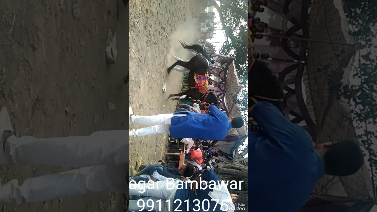 Ghodi dance video Manish Nagar Bambawar