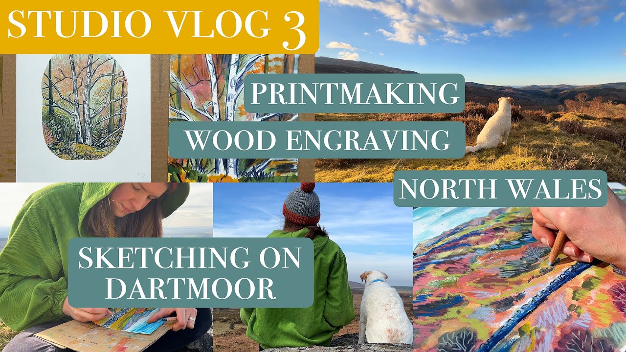 Studio Vlog 3. Sketching on Dartmoor and in North Wales, Printmaking and Collaging