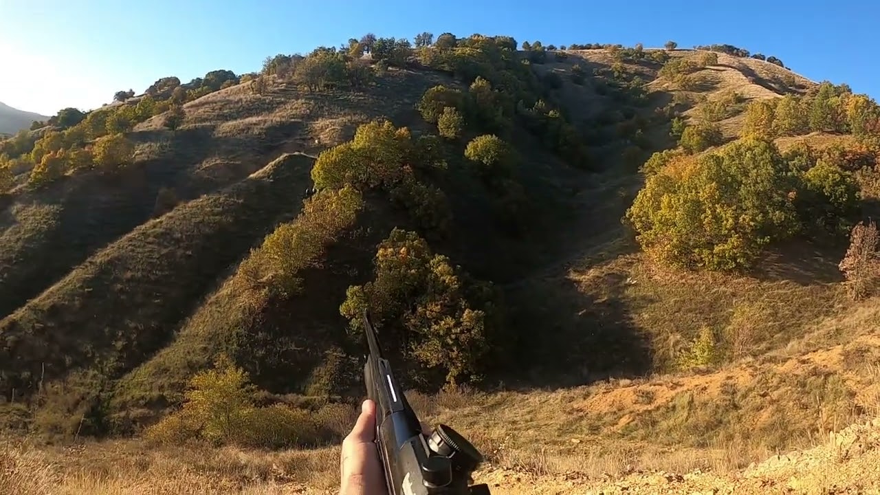 Chasse au sanglier en turquie 2023 / Quintupl&eacute; 💥💥💥💥💥