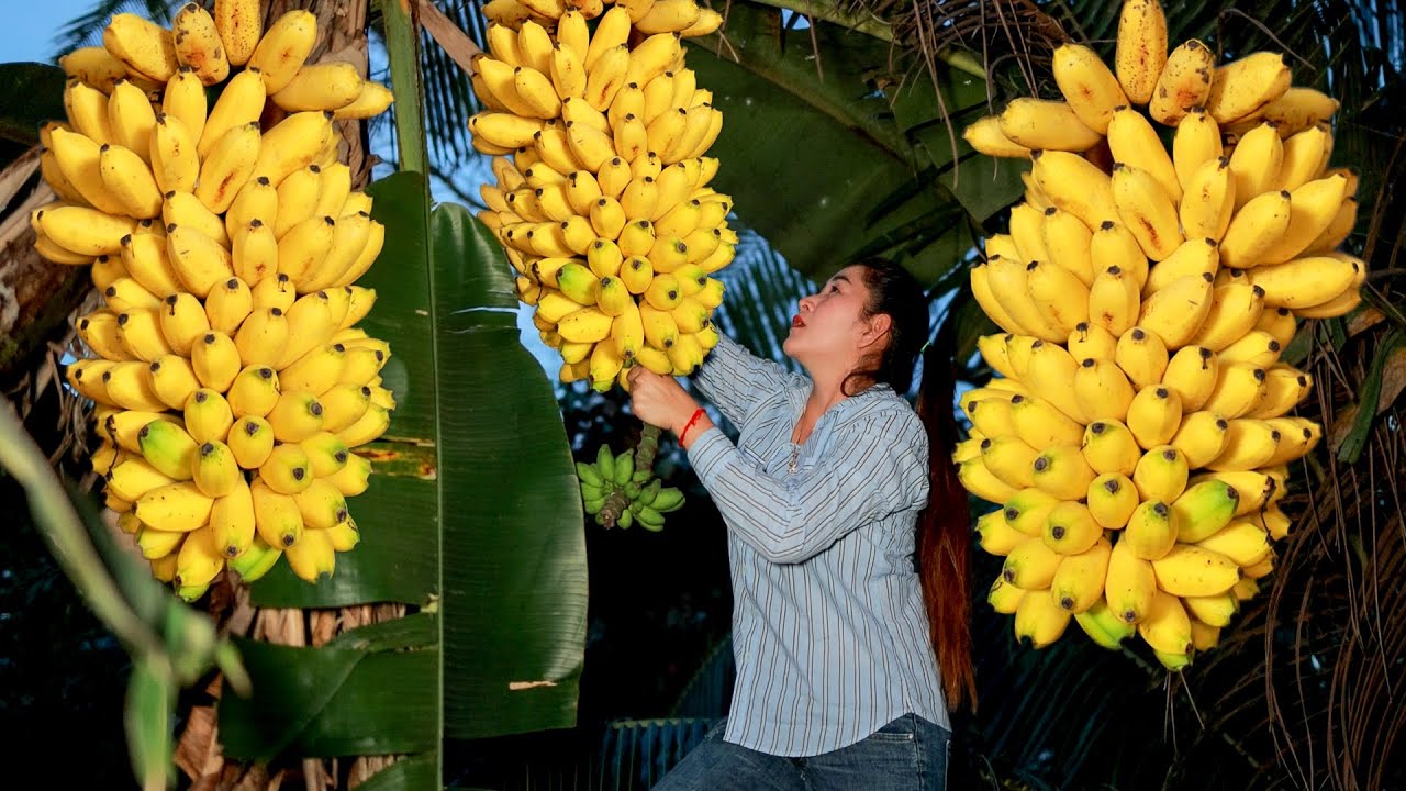 My brother, Ny help me to cook dinner with sweet banana | Cut banana for dinner, banana dessert