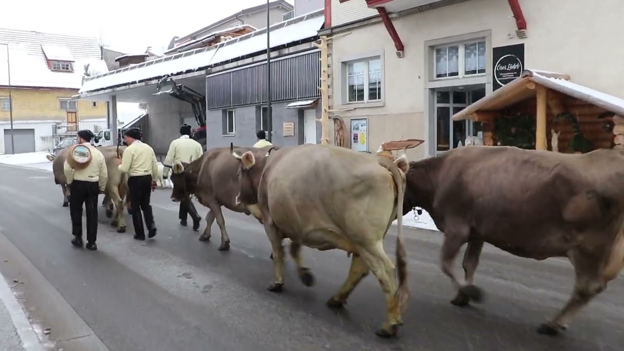 A s'Heu fahre, Alpfahrt, &ouml;berefahre (Alpine Descent, Swiss Tradition)