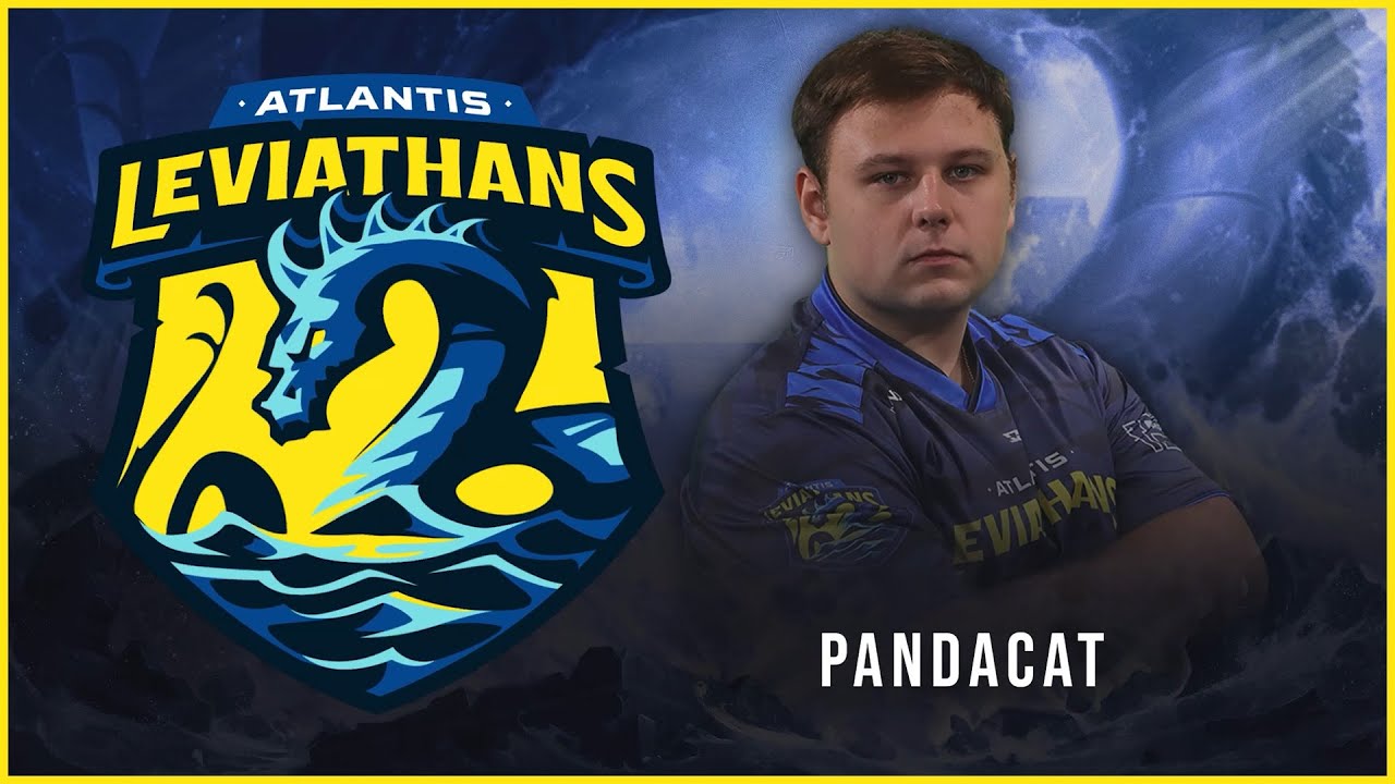 PANDACAT // SWC SEASON X PLAYER SPOTLIGHT