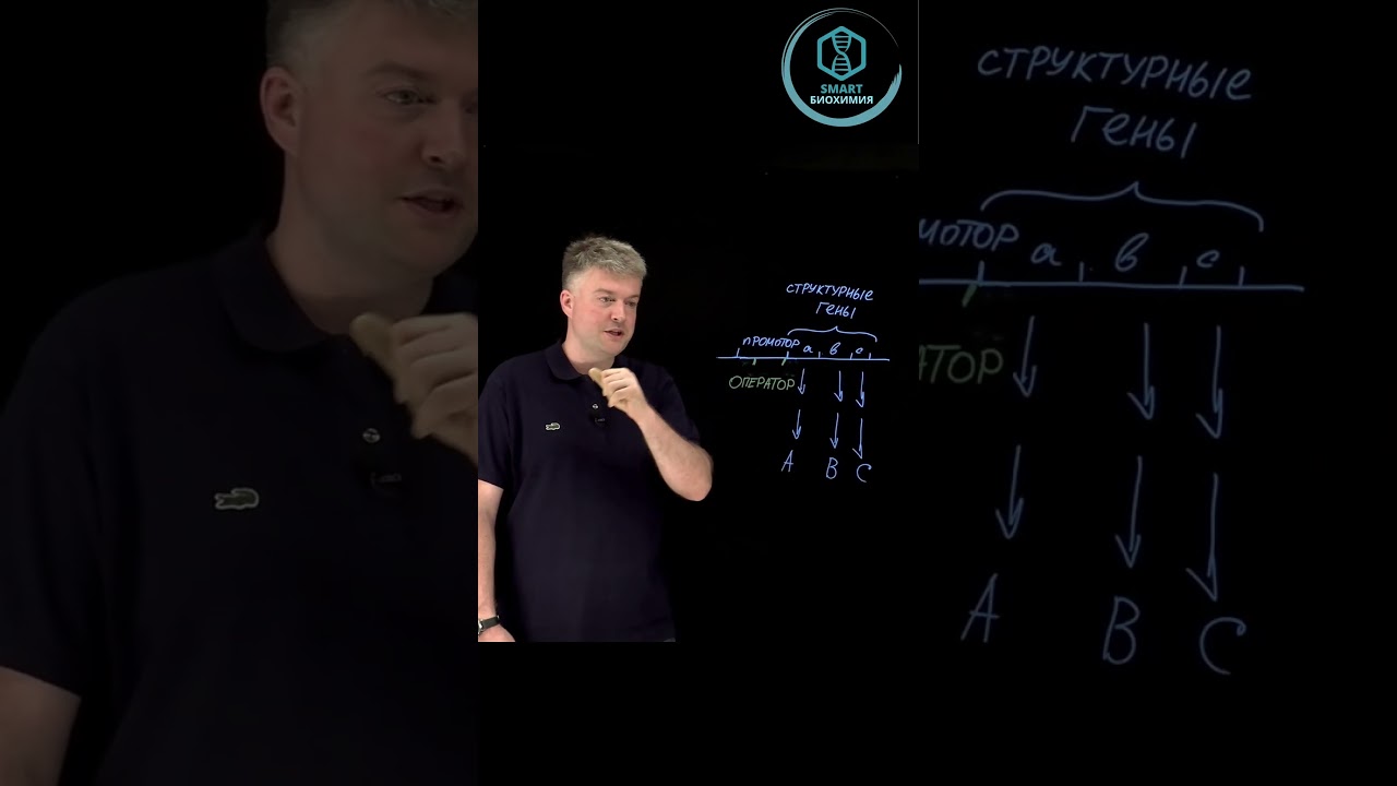 Биохимия: Оперон часть 3) Заключительная #биохимия