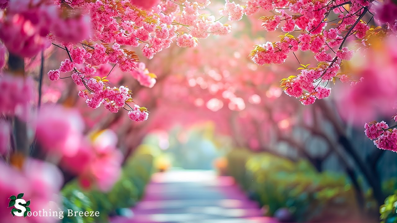 All your worries will disappear if you listen to this music✨Relaxing music helps soothe your nerves