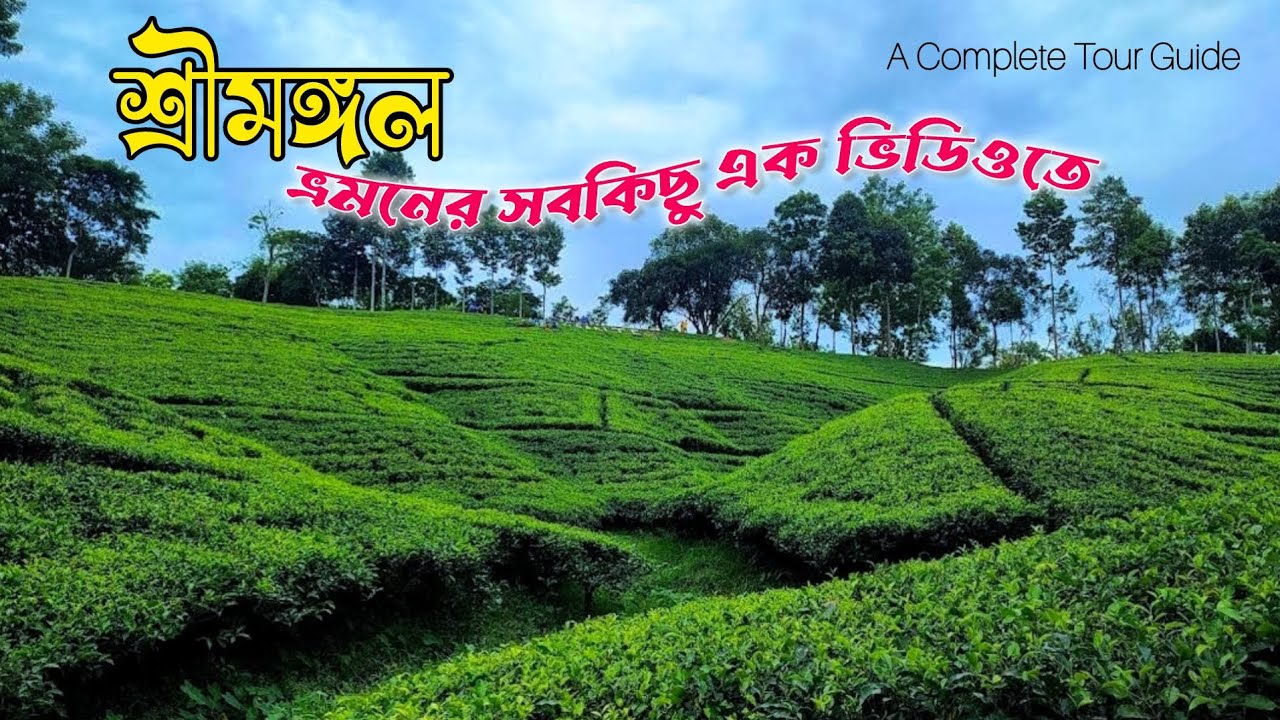 শ্রীমঙ্গল ভ্রমনের সবকিছু ২০২৬ | Sreemangal tour 2026 | মাধবপুর লেক | হরিণছড়া গলফ মাঠ | লাউয়াছড়া 