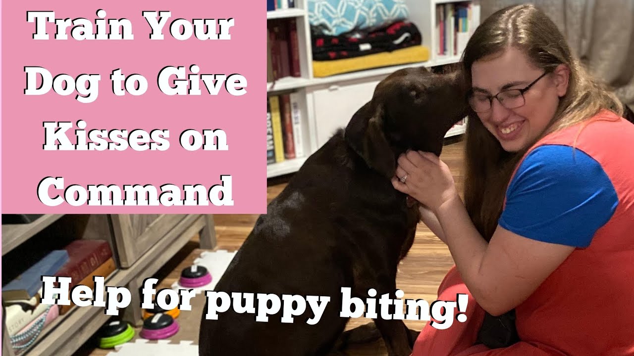 Training Your Dog to Give Kisses on Command!