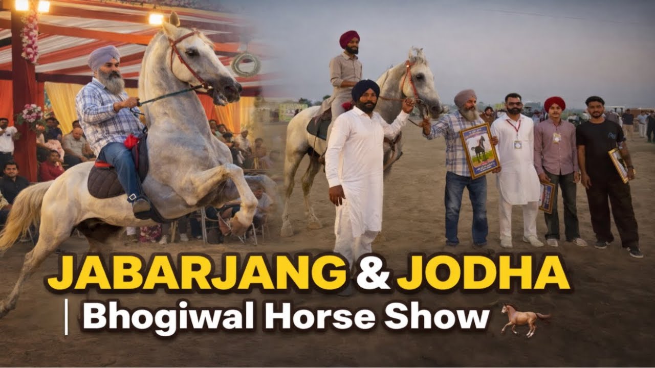 Bhogiwal Horse Show 2026🐎//JABARJANG te JODHA leke gye⛳️