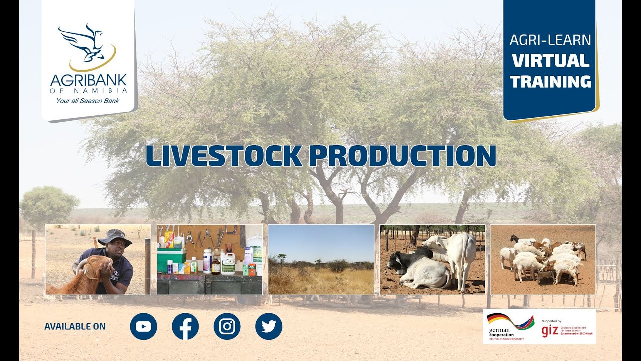 Handling & Use of VET Medicines