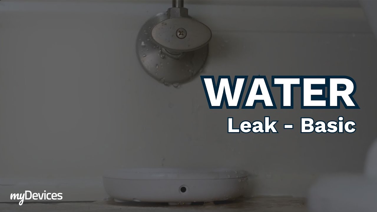 Water - Leak Basic