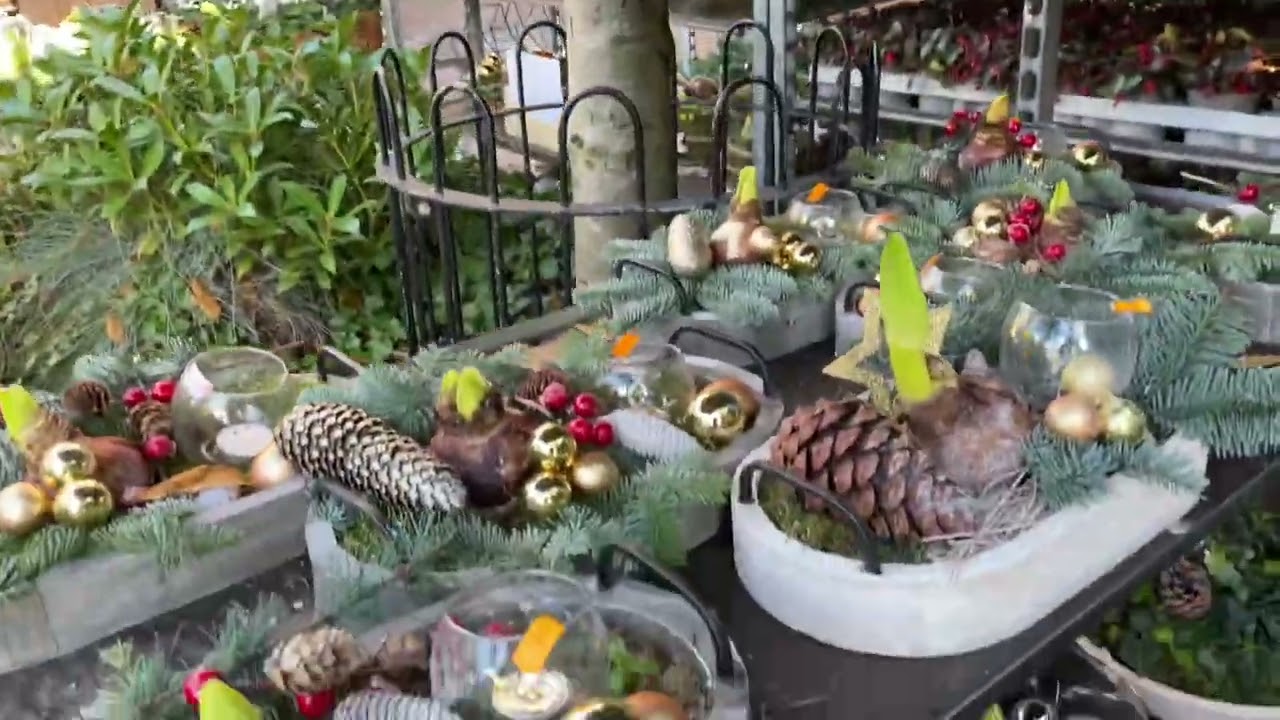 Van kerstbomen naar kerststukjes!