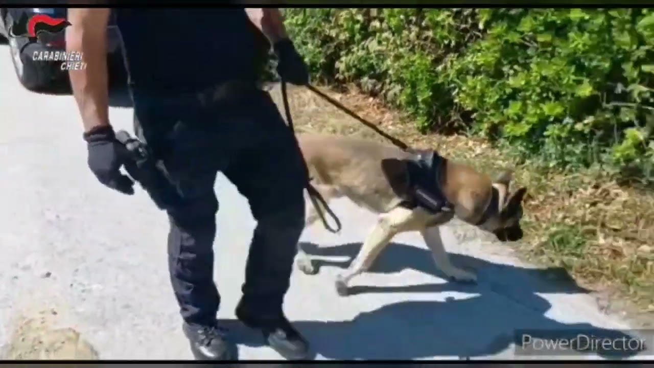 52enne disoccupato di Villalfonsina sorpreso a spacciare eroina, arrestato