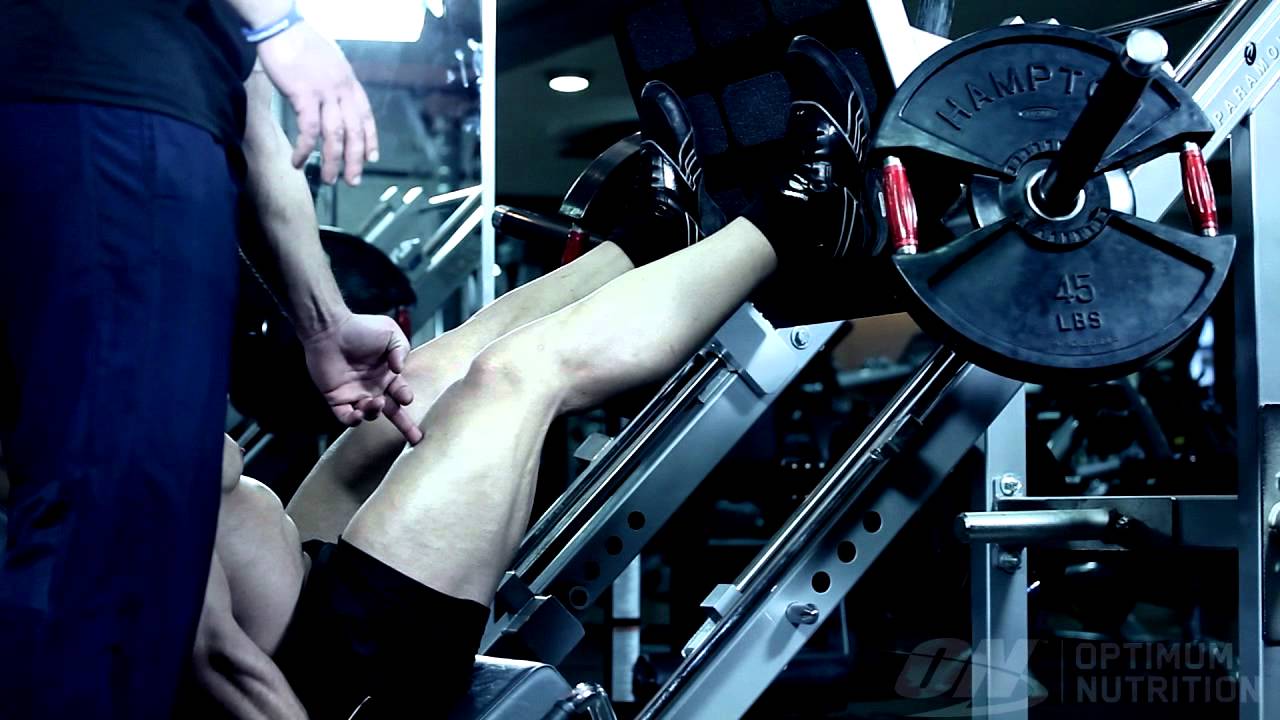 فخذ جهاز دفع - سبورتر Sporter.com