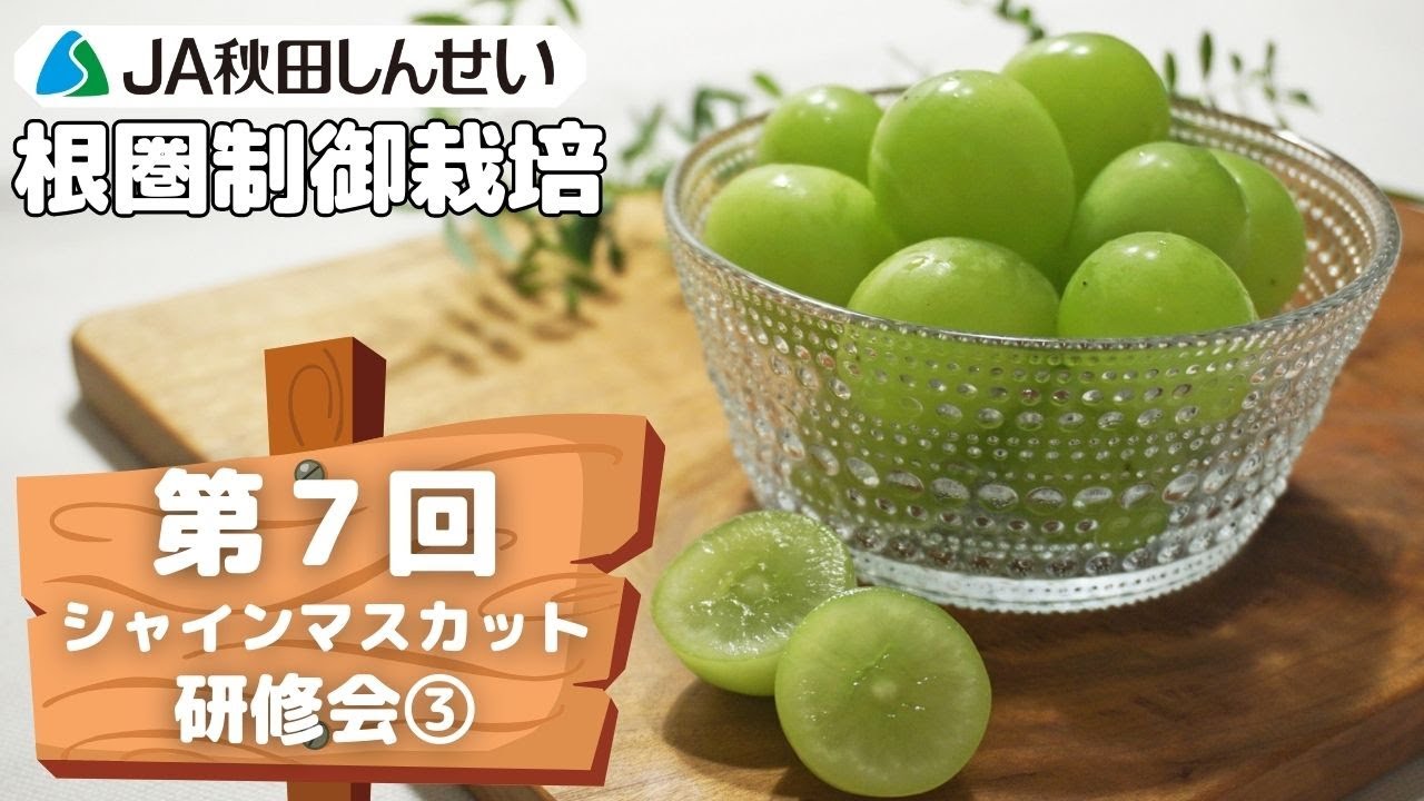【JA秋田しんせい】第７回シャインマスカット研修会③