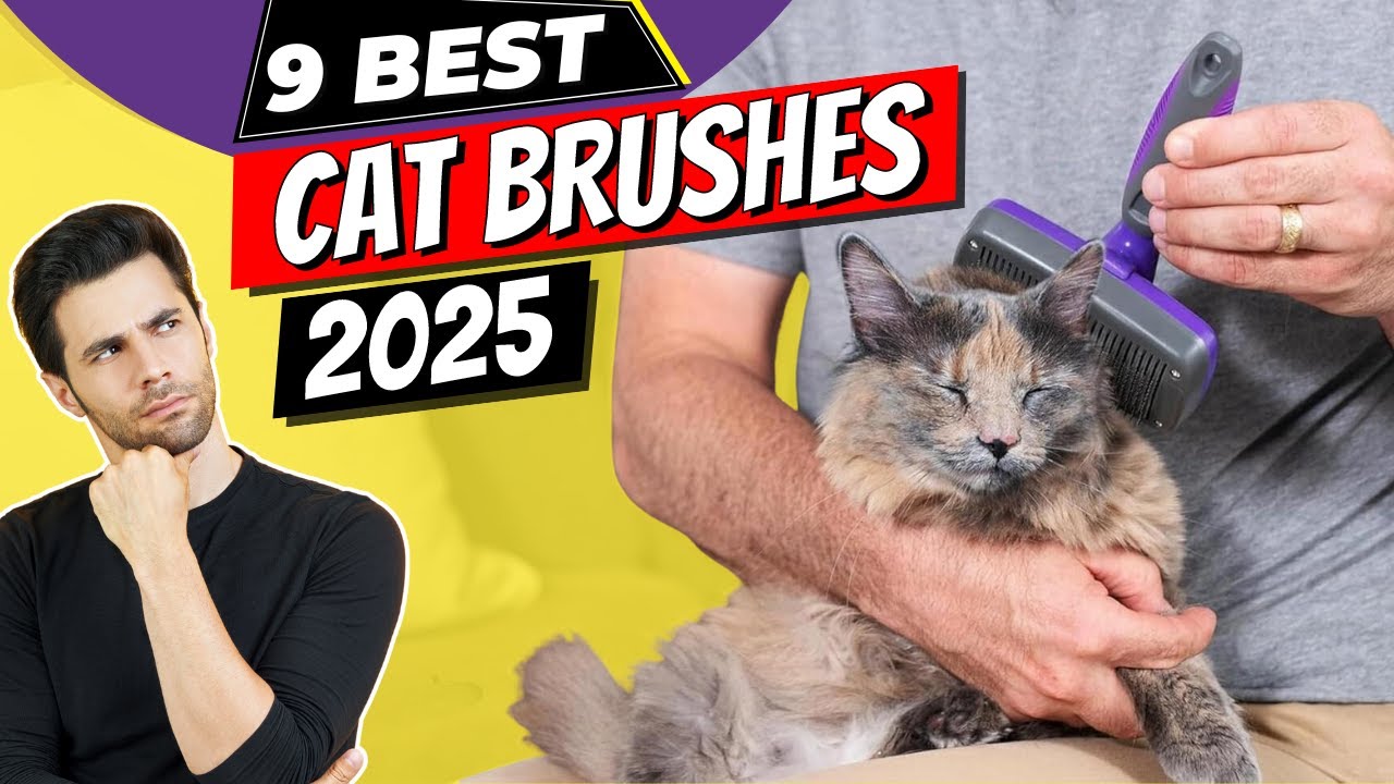 The 9 Best Cat Brushes of 2025