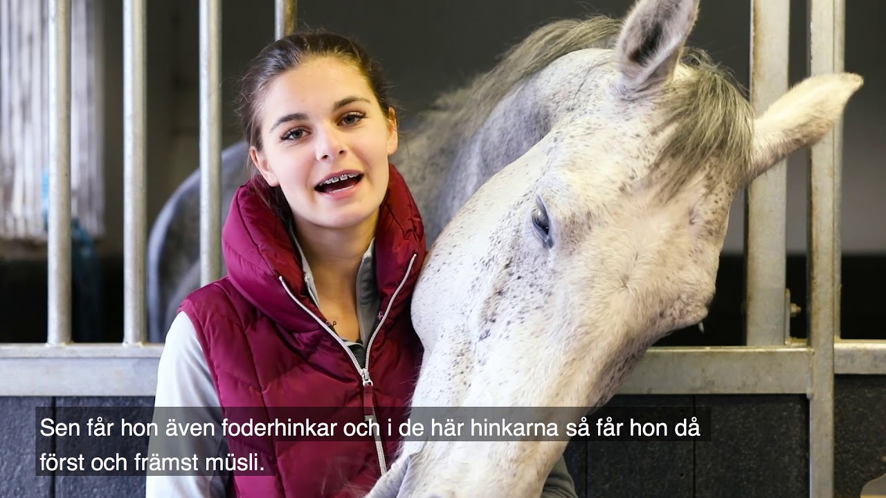 Jennifer Bratt tipsar om foder