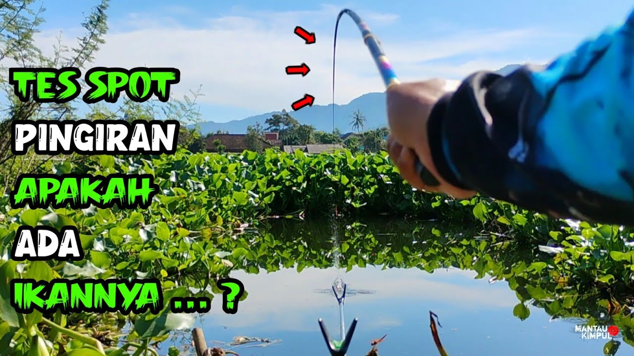 Mancing Ikan Nila Umpan Lumut Terbaru Waduk Selorejo Ngantang WSN Kabupaten Malang Jawa Timur 2025
