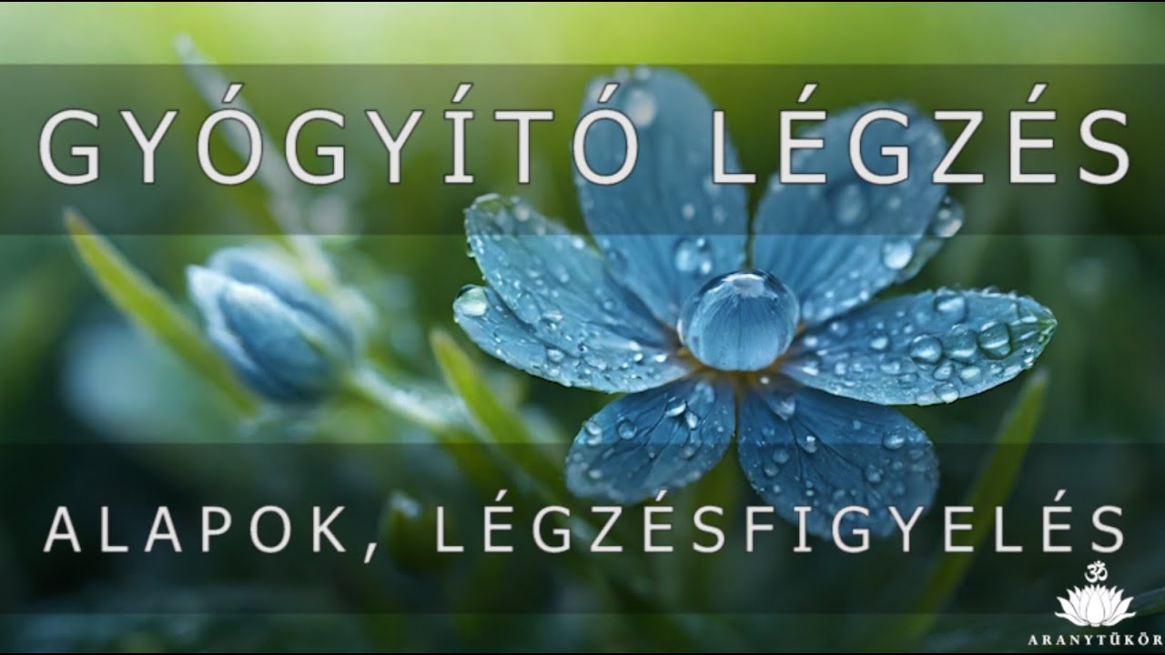 Gyógyító légzés 1. -  Alapok, légzésfigyelés