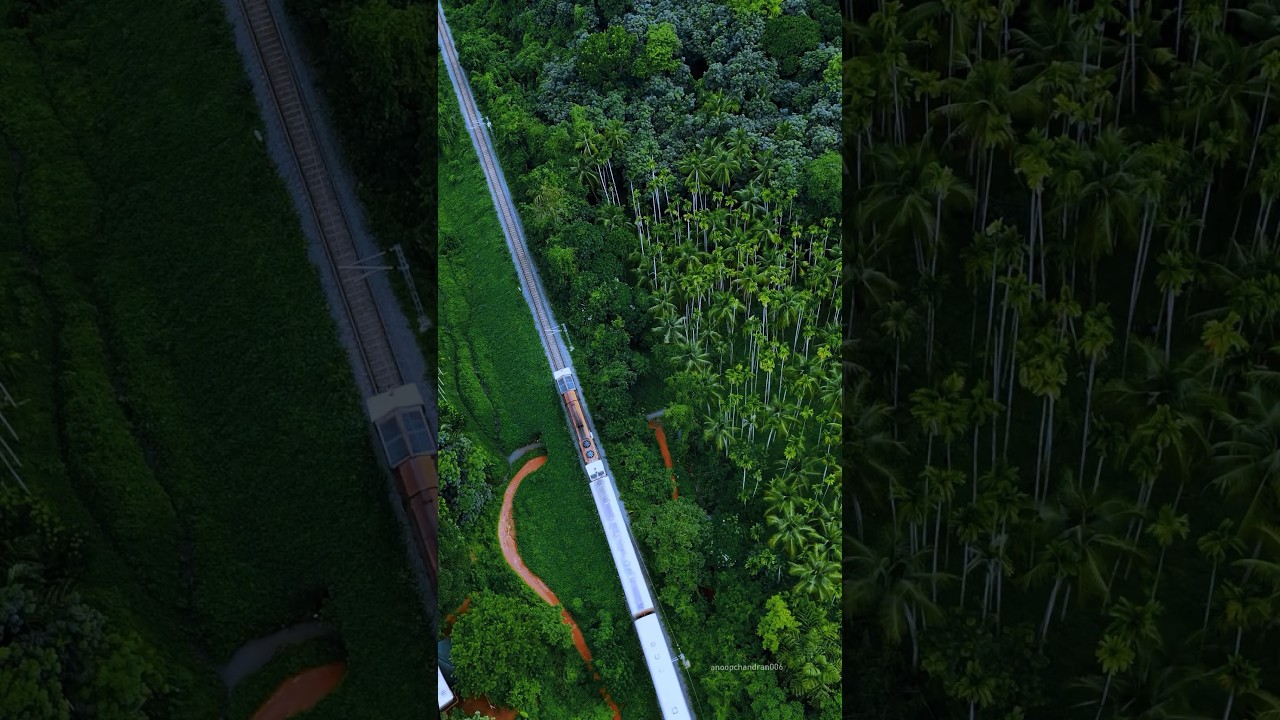 Nilambur shornur Railway #nature  #indianrailways #railway #india