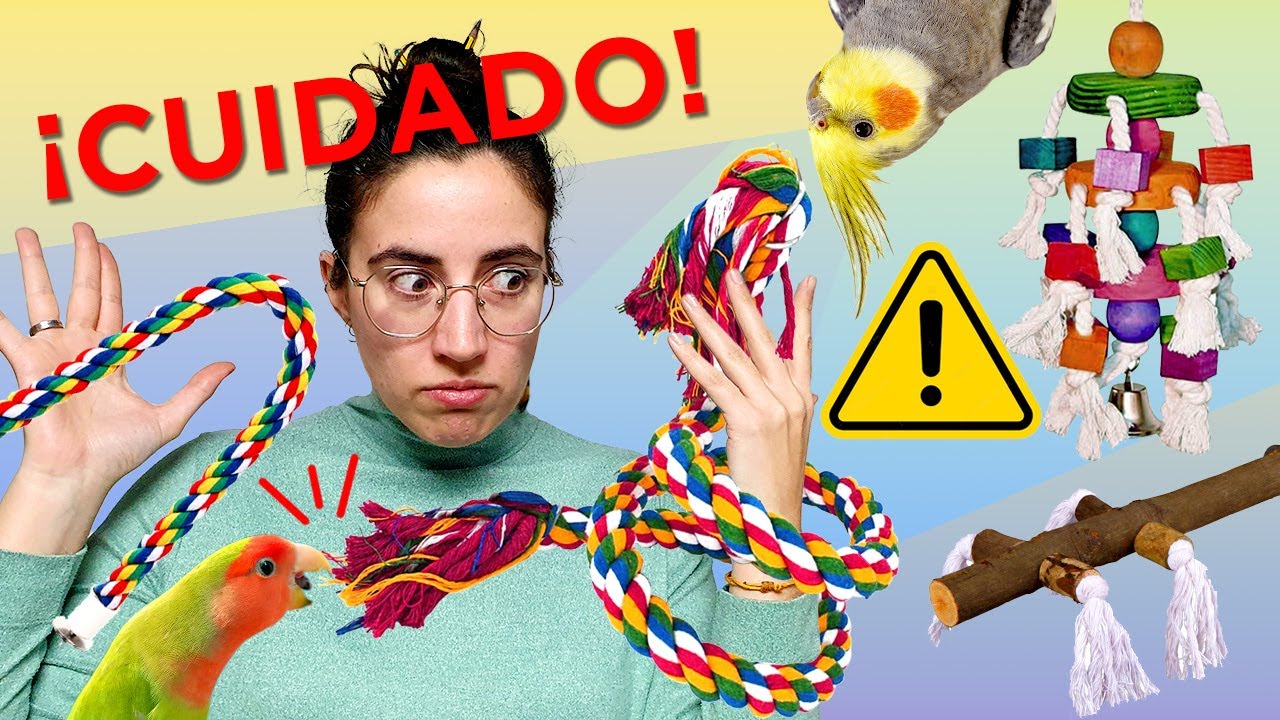 ⚠️ PELIGROS de los JUGUETES y las PERCHAS de CUERDA para aves