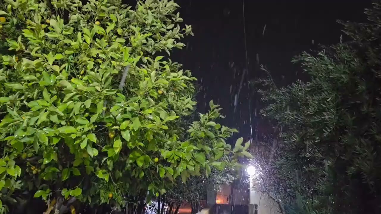 عشاق المطر،وصوت المطر 