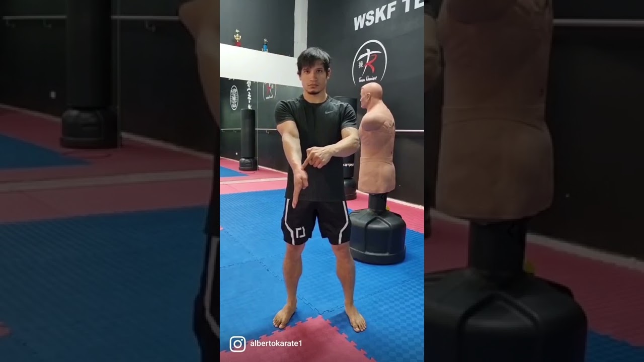 Haito Uchi T&eacute;cnica de Karate