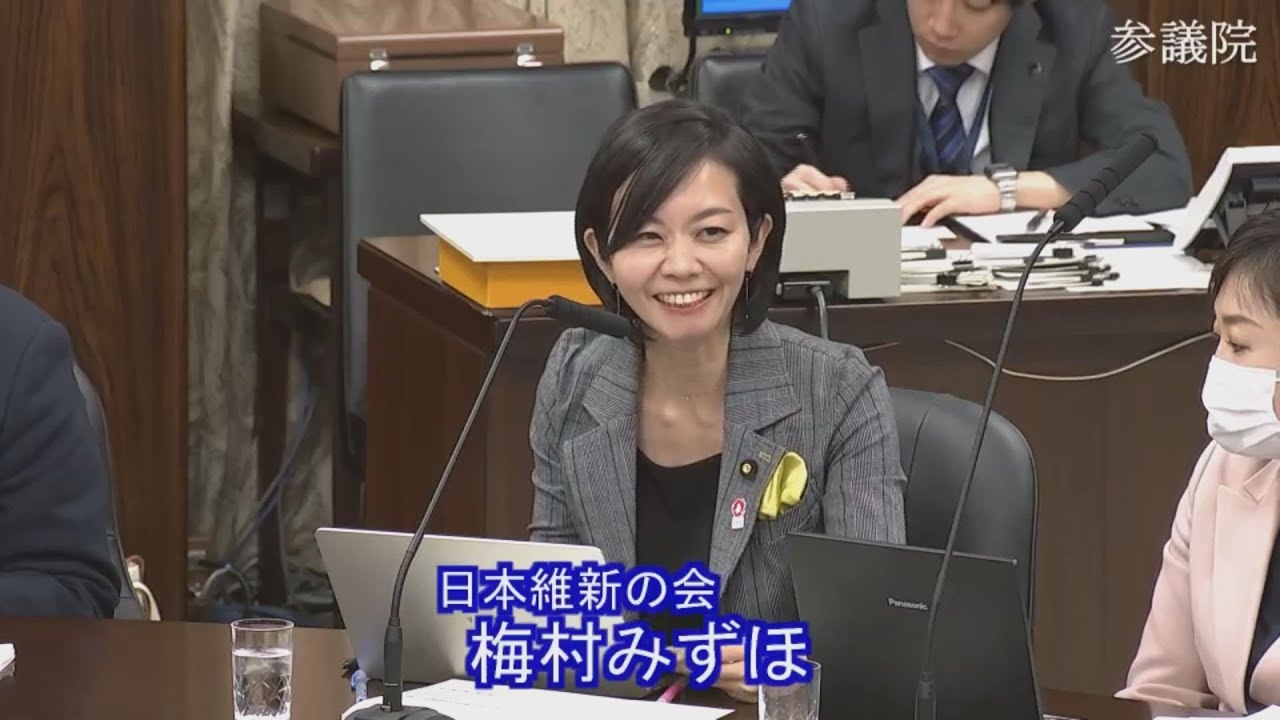 2025.04.17　経済産業委員会・参考人質疑　梅村みずほ