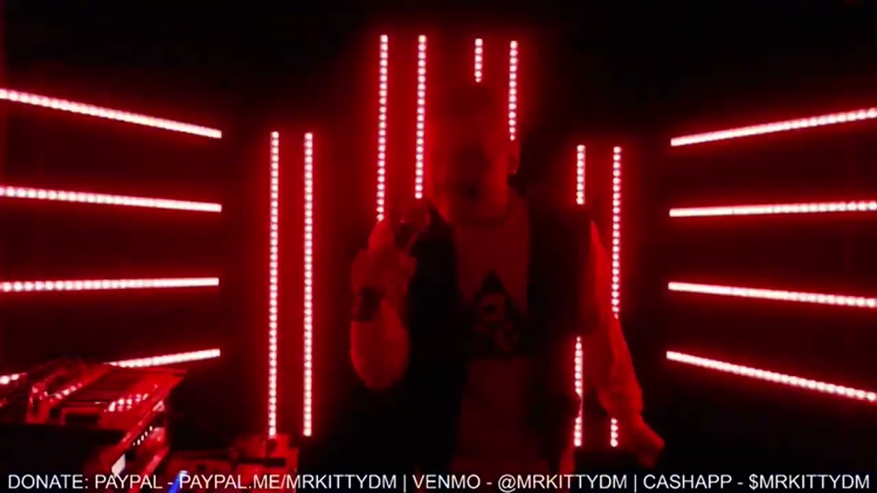 Mr.Kitty - XIII (LIVE 2020)
