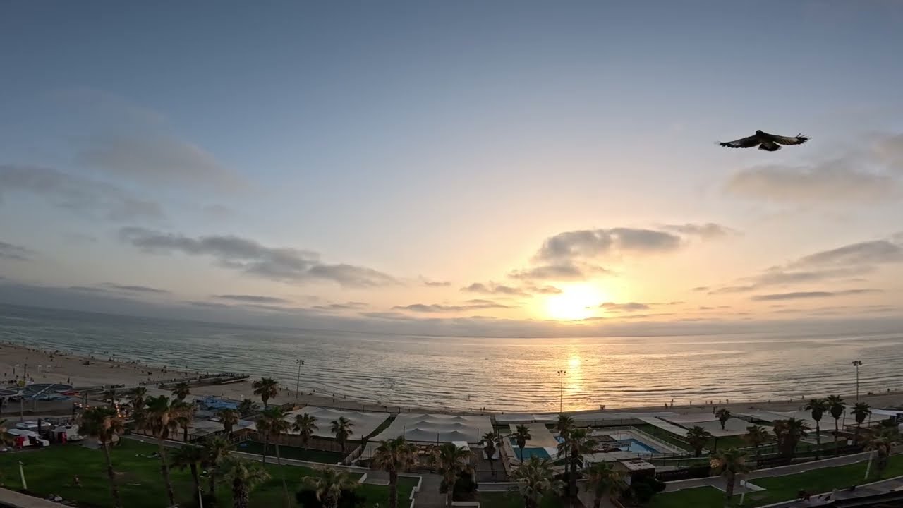 The Sunset on the Mediterranean Sea #seaview #beach #vacation #sunset #asmr