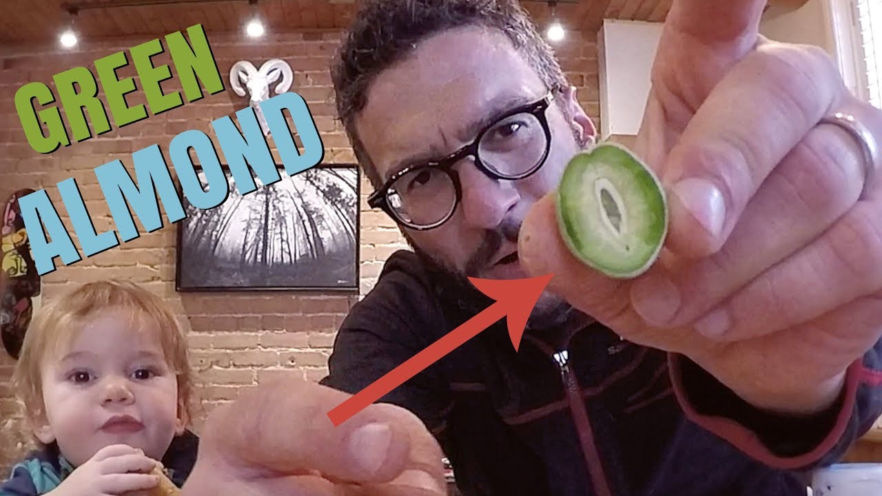 First Time Trying Green Almonds!
