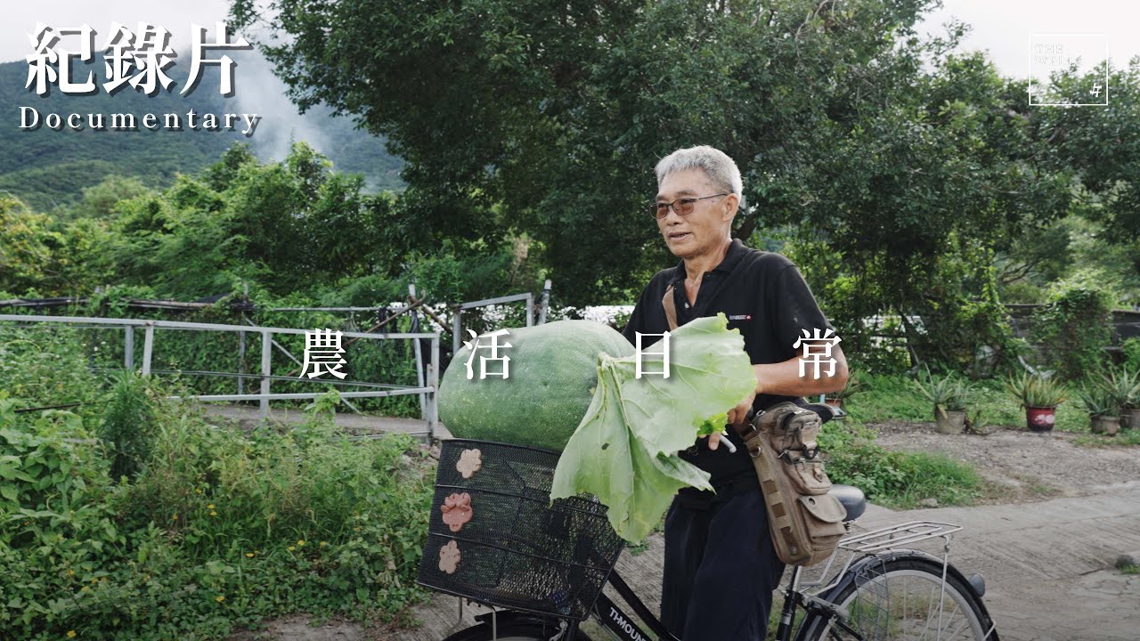 【FULL FEATURE】農活日常 ׀ 大嶼山 ׀ 梅窩白銀鄉 ׀ 青皮大冬瓜 ׀ 紀錄片 ׀ 紀實 ׀ Documentary ׀ The WELL