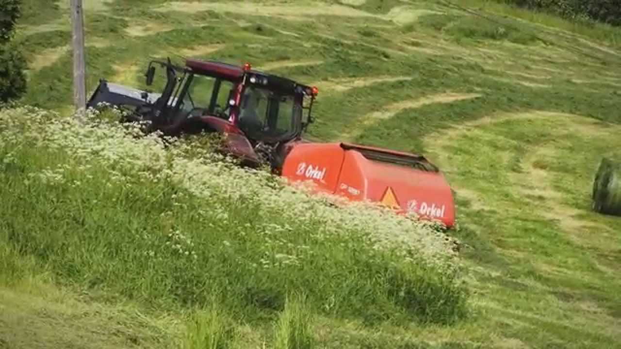 Slåttonn Bustnes 2014