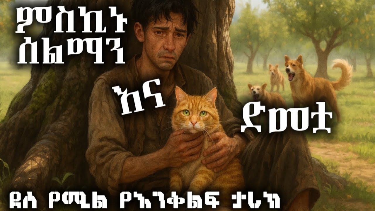 ምስኪኑ ሰልማን እና ድመቷ ደስ የሚል የእንቅልፍ ታሪክ / የማታ ታሪኮች night story 😴